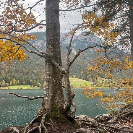 Appartamento Alpen Iv *