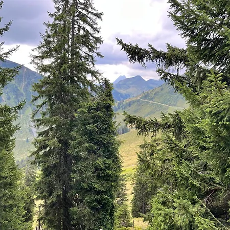 Alpen Iv Appartamento *