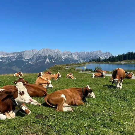 Appartement Alpen Iv