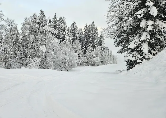 Alpen Iv Apartment